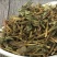 鹅肠草,道地药材，质优价实，品质保证，药典标准一公斤起批