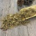 鹅肠草,道地药材，质优价实，品质保证，药典标准一公斤起批
