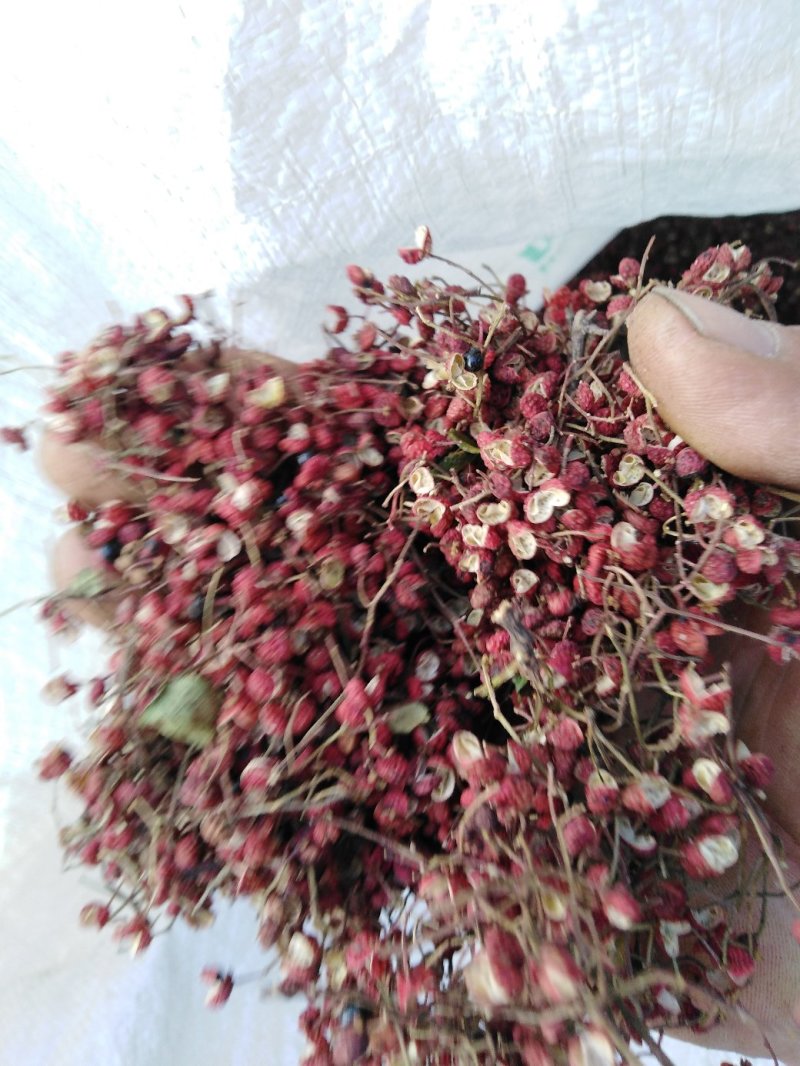 花椒，大红袍花椒