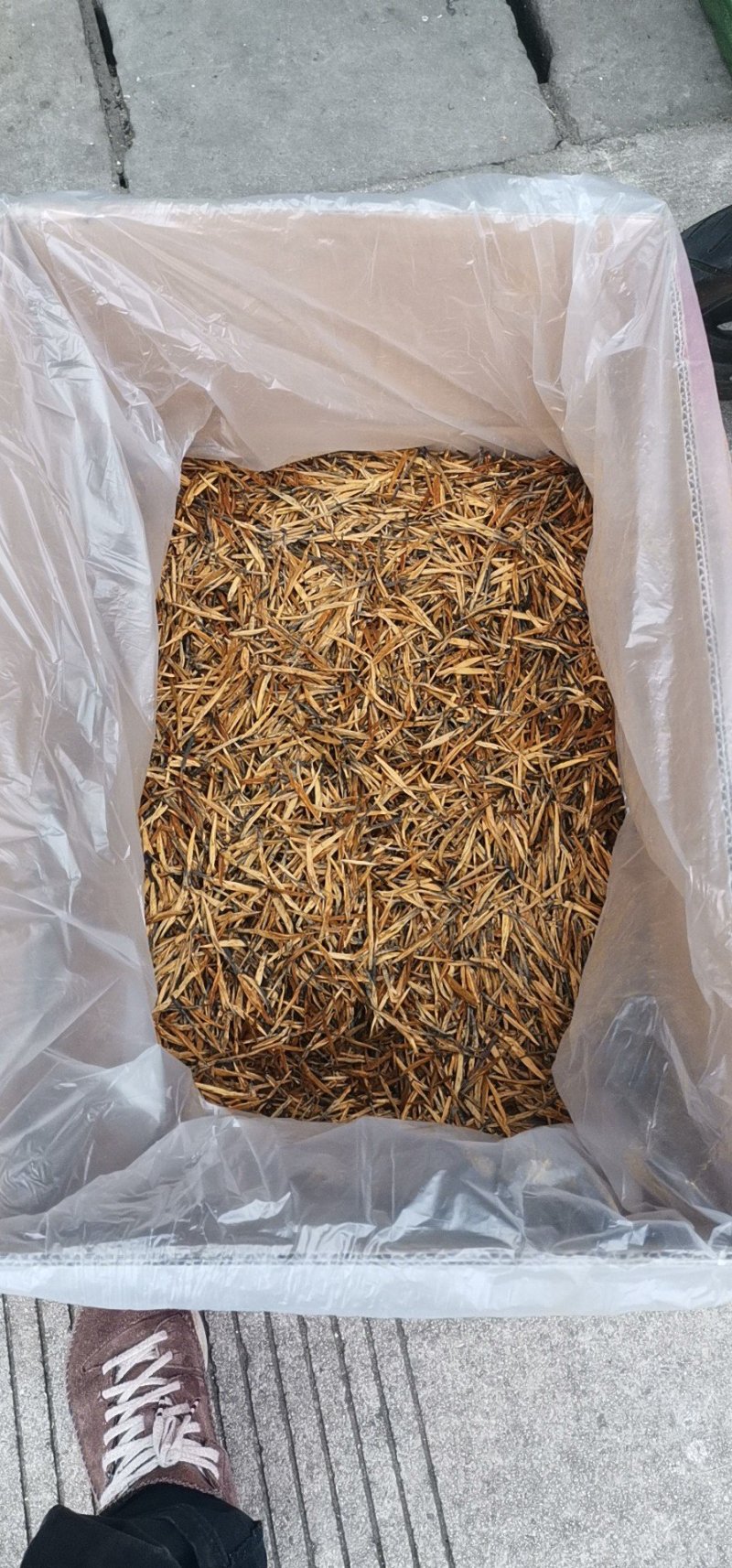 凤庆大金针小金针金针茶叶普洱茶蜜香金针