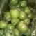 印度青苹果脆甜可口，产地直销果面干净颜色翠绿，货源充足！
