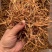 无硫干黄花菜产地直批