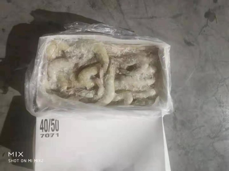 虾