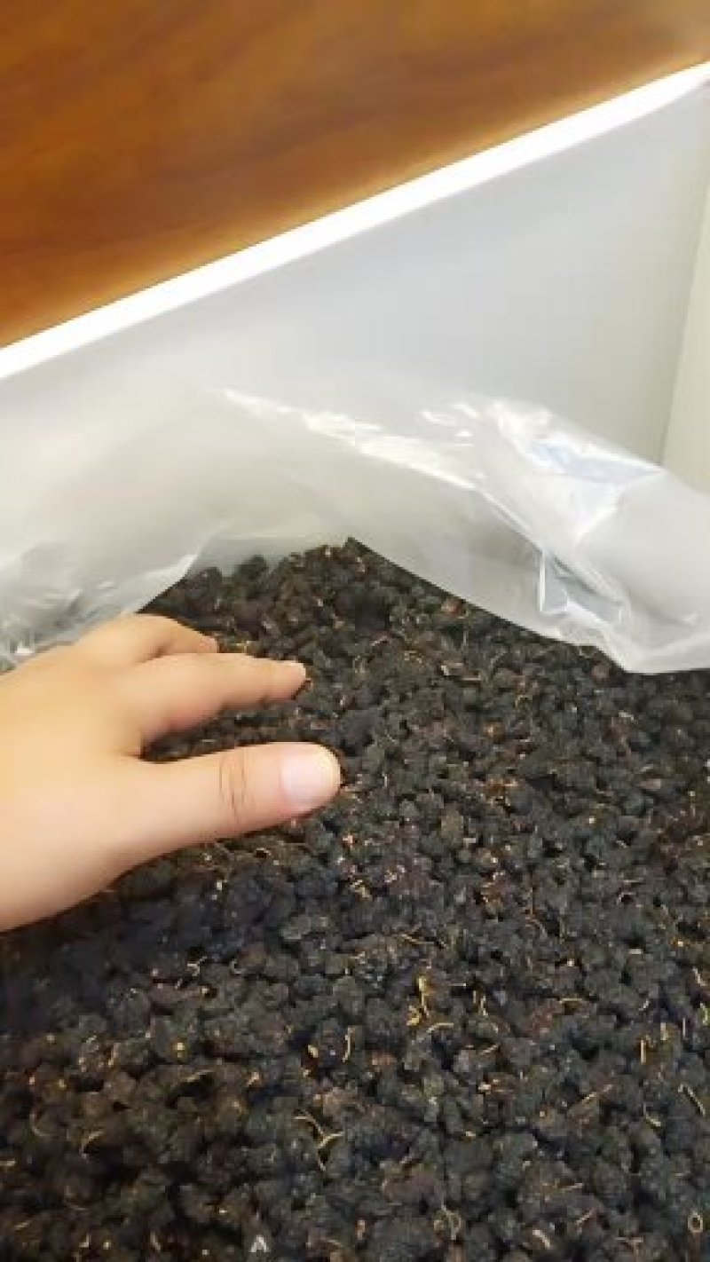 桑椹，药用，食用，全部一手货源