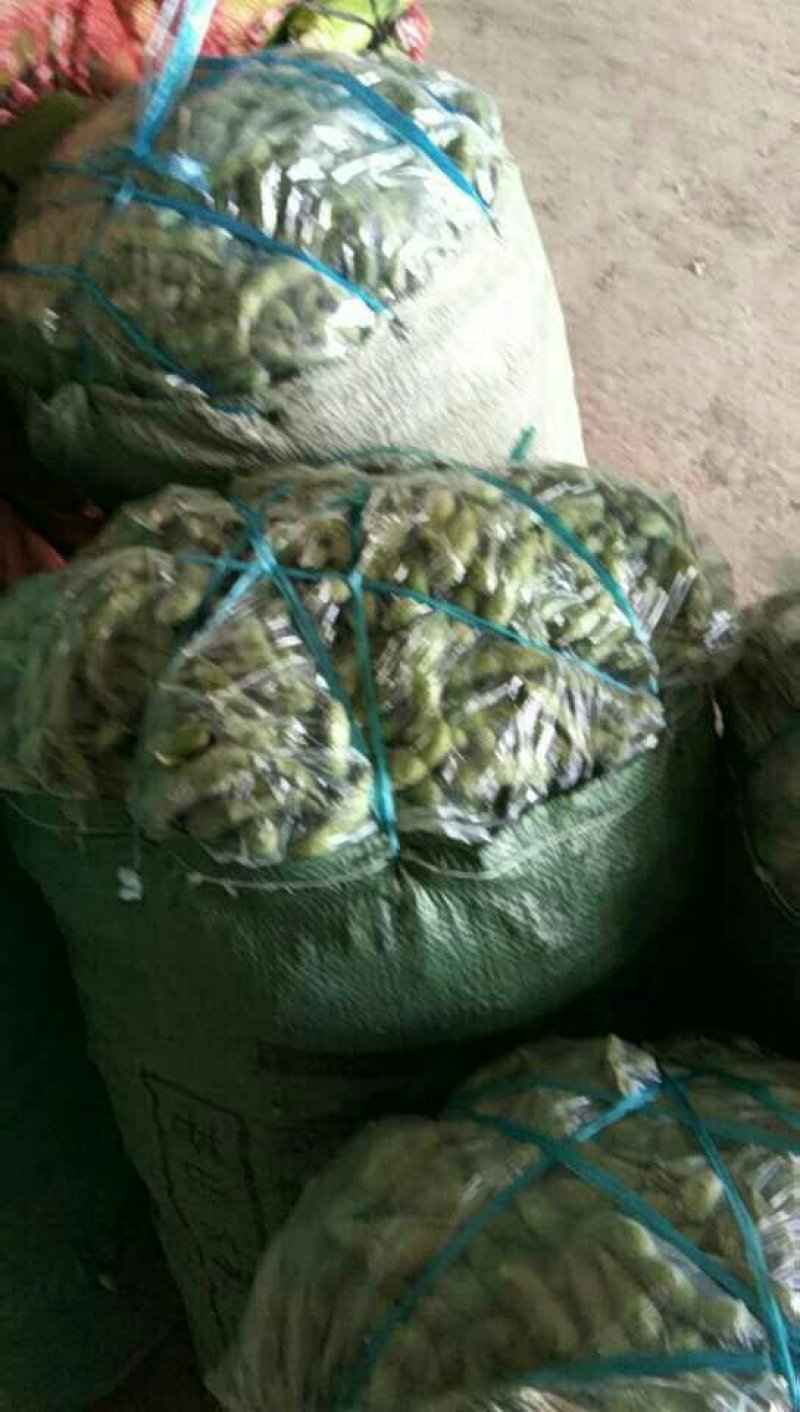 沈鲜毛豆大量上市，米粒饱满，可视瓶看货，须要联系，