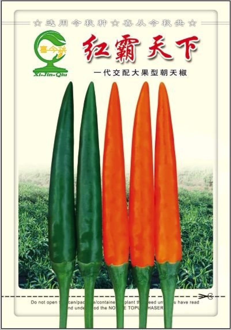 红霸天下朝天椒泰国引进中早熟耐高温抗病高产