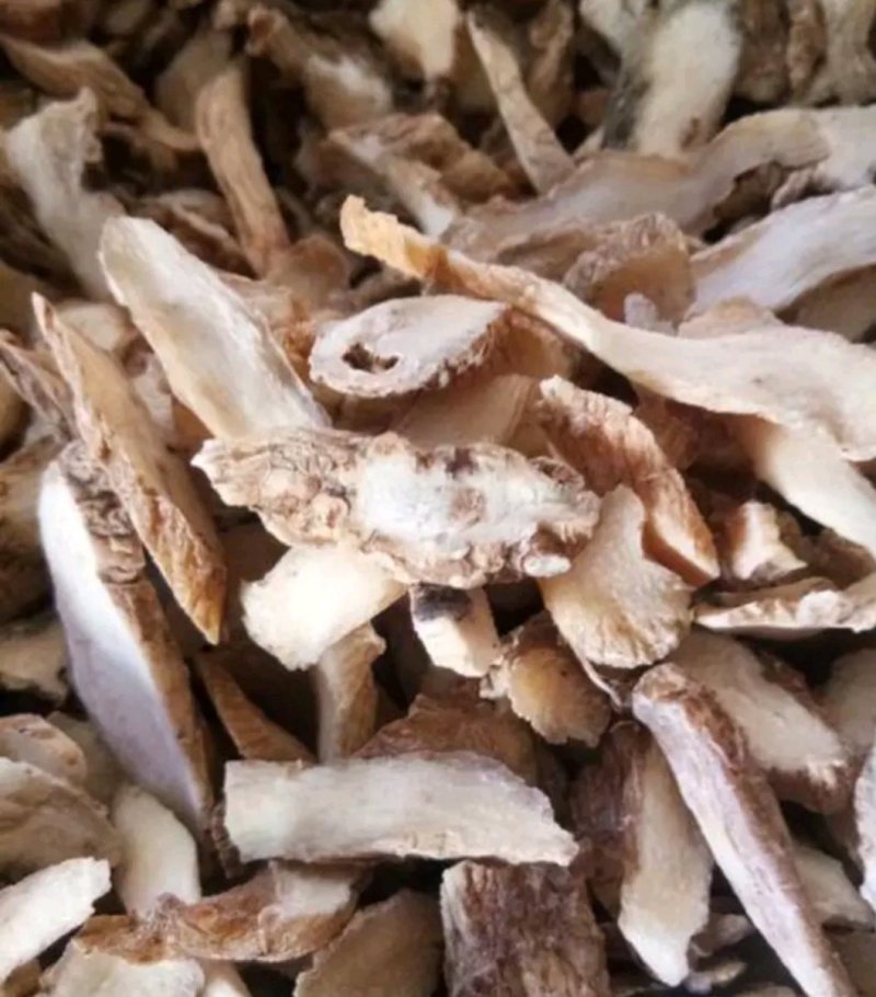 【精品】生态玉竹大量有货质量保证量大从优