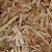 【精品】生态玉竹大量有货质量保证量大从优