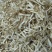 【精品】生态玉竹大量有货质量保证量大从优