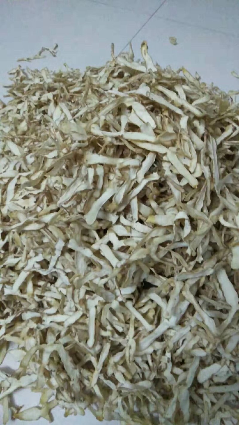 【精品】生态玉竹大量有货质量保证量大从优