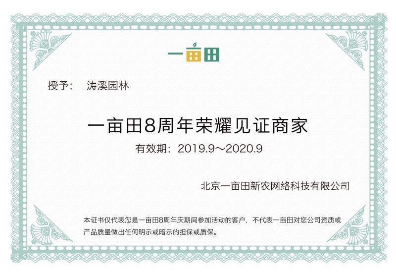 基地直供黄刺梅球小苗各种绿化苗木工程园林