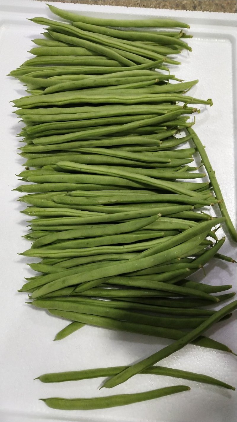 四季豆小金豆长度20-25cm原产地直供