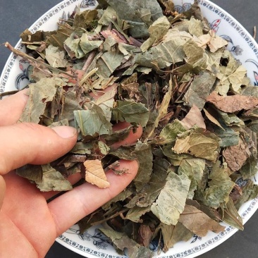 腹水草,道地药材,质优价实,药典标准,一站购齐一公斤起批