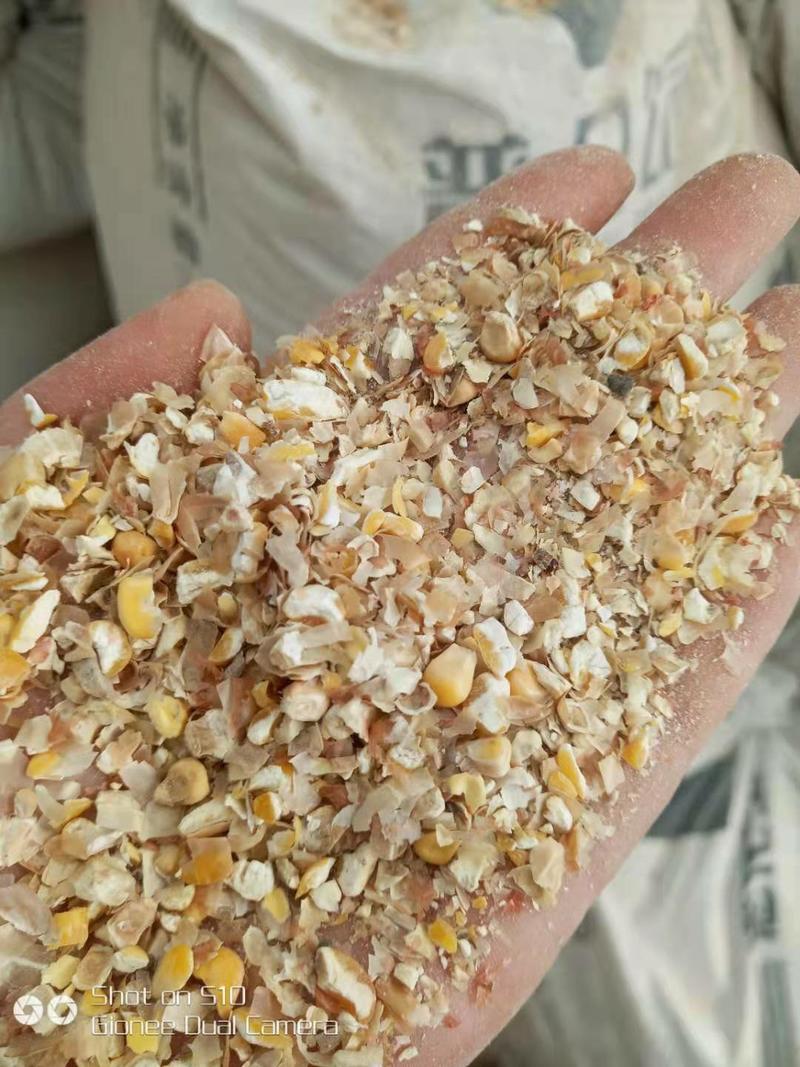【今日推荐】碎玉米现货8-9个粮厂家直销质保价优