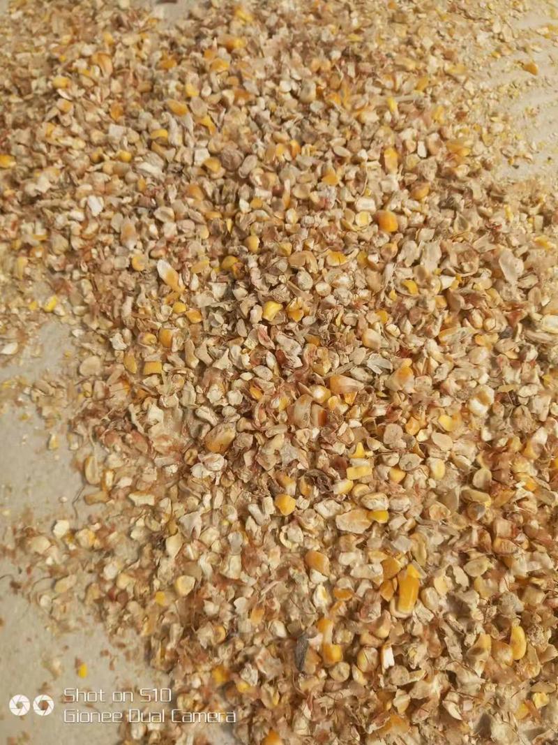 【今日推荐】碎玉米现货8-9个粮厂家直销质保价优