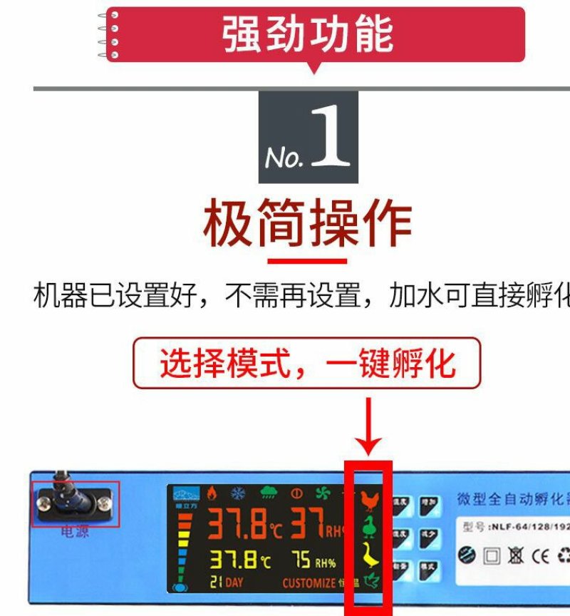 孵化设备微型家用孵化机智能孵化器鸡鸭鹅孵蛋器【一件代发】