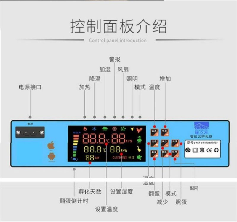 孵化设备微型家用孵化机智能孵化器鸡鸭鹅孵蛋器【一件代发】