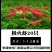 观赏虾活体，直接可以下单包邮
