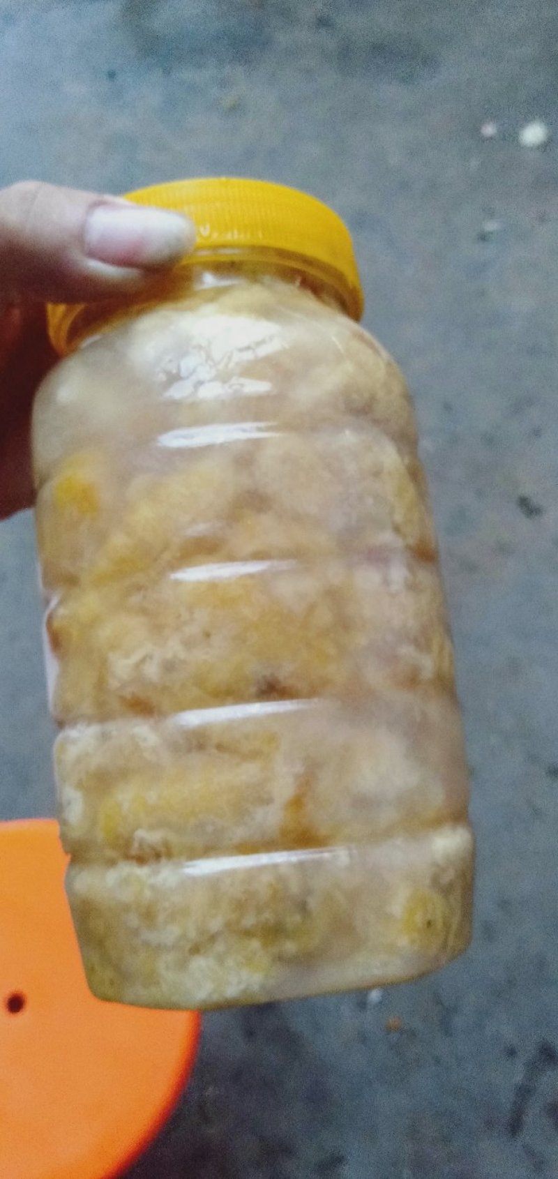加工好的天然豆丹50元一斤