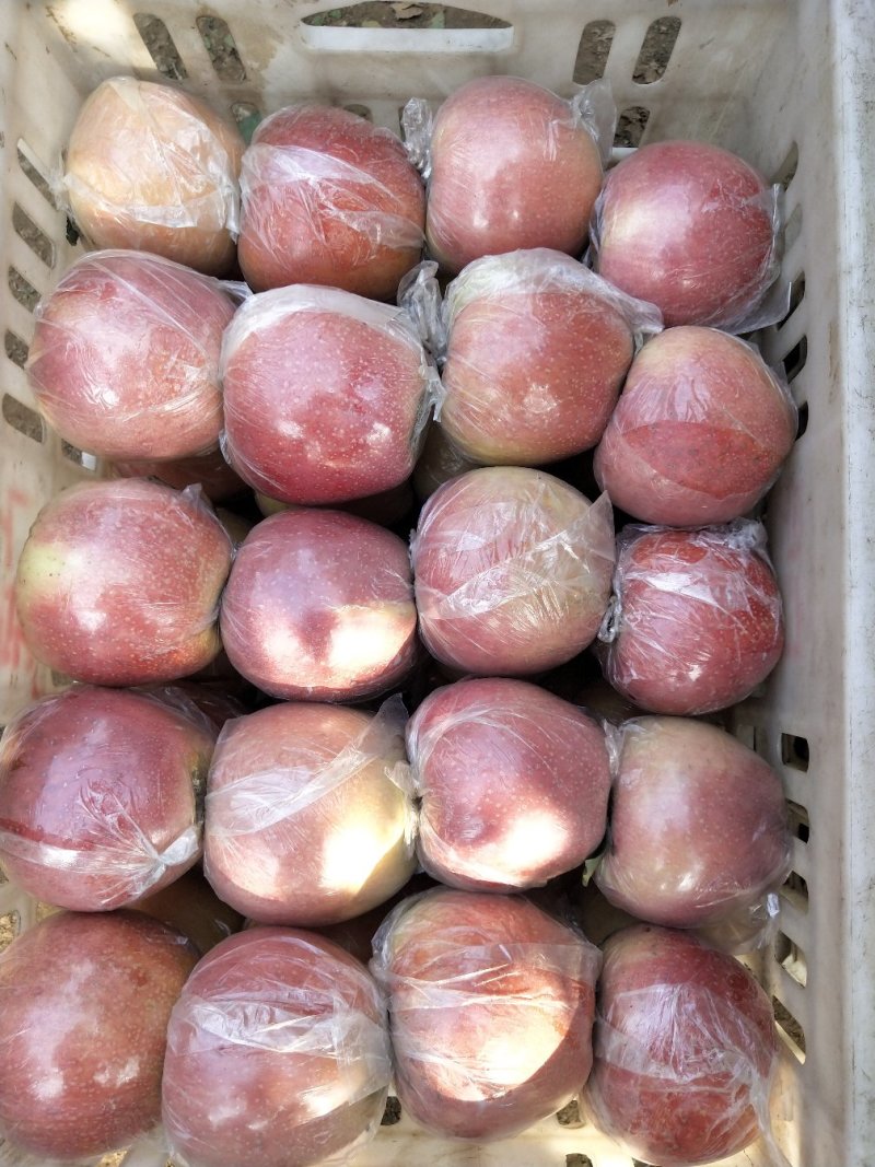 苹果🍎