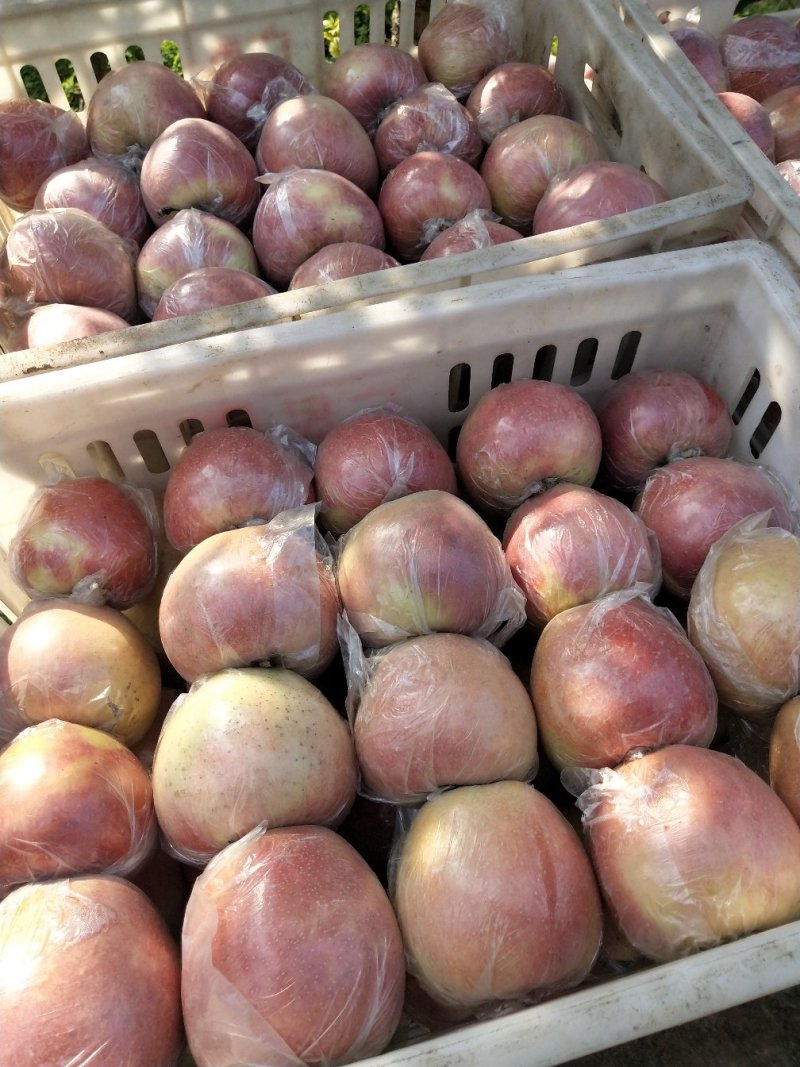 苹果🍎