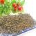 黄毛耳草,道地药材,质优价实,品质保证,药典标准一公斤起