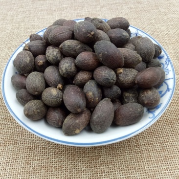 蒲葵子,道地药材，质优价实，品质保证，药典标准一公斤起批