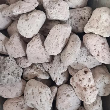 海浮石浮海石矿石各种中药材批发零售各种规格欢迎选购
