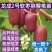 【热荐】龙成2号软枣猕猴桃苗品种保证全部现挖现发