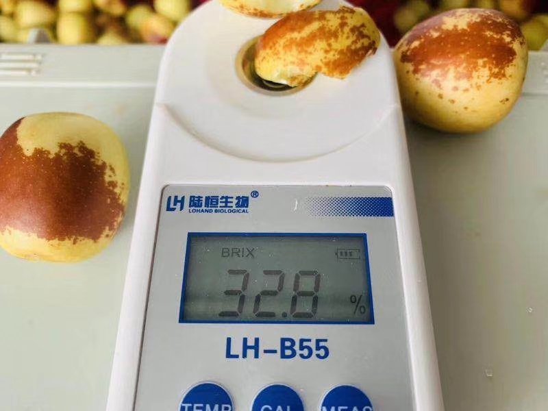 大荔冬枣一级招代理，，，，，，，，，，，，，