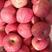 【红富士苹果】精选山东红富士苹果。冷库水晶红富士苹果一手货源