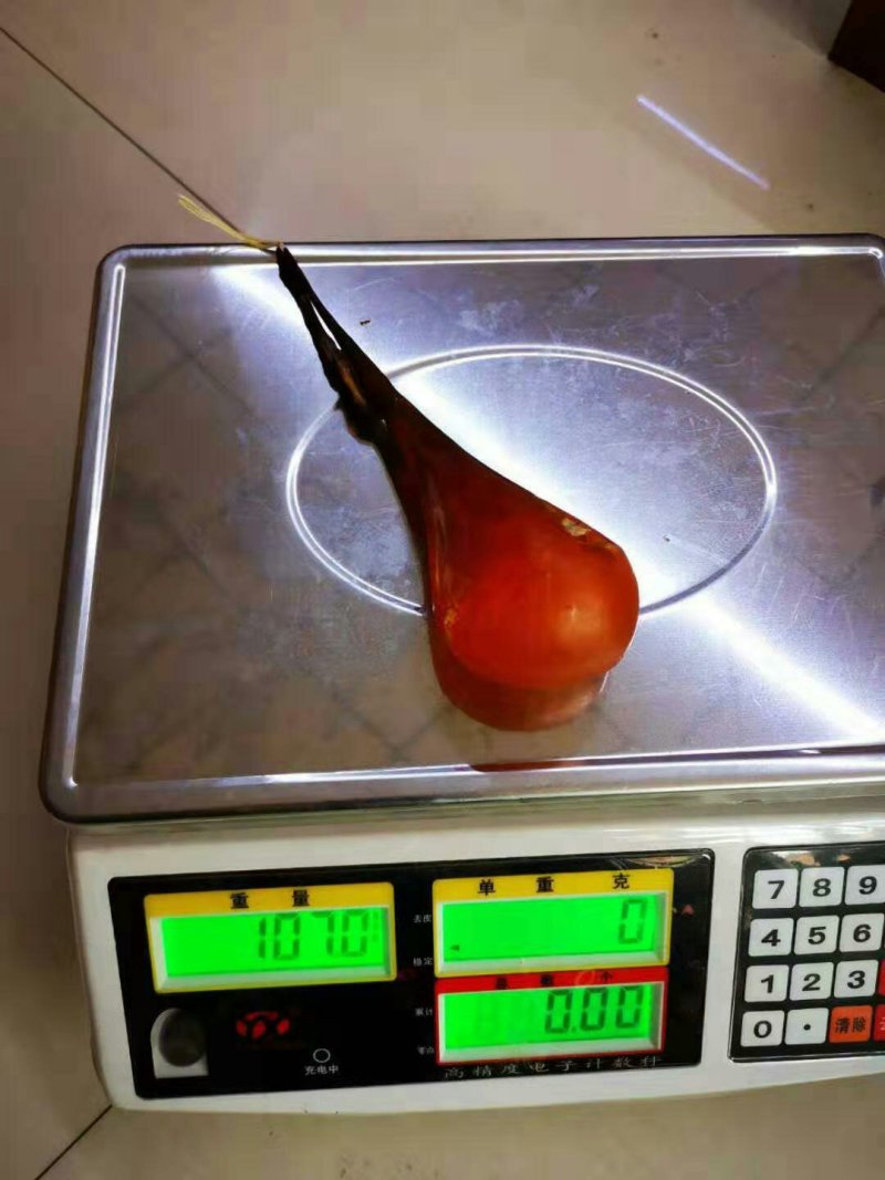 金胆