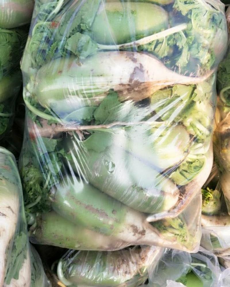 河南青萝卜大量供应中，质量保证超市直供一手货源一条龙服务