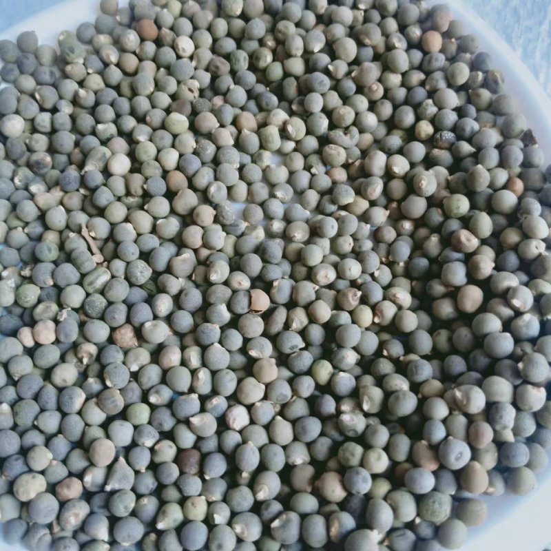 黄蜀葵子,道地药材，质优价实，品质保证，药典标准一公斤起