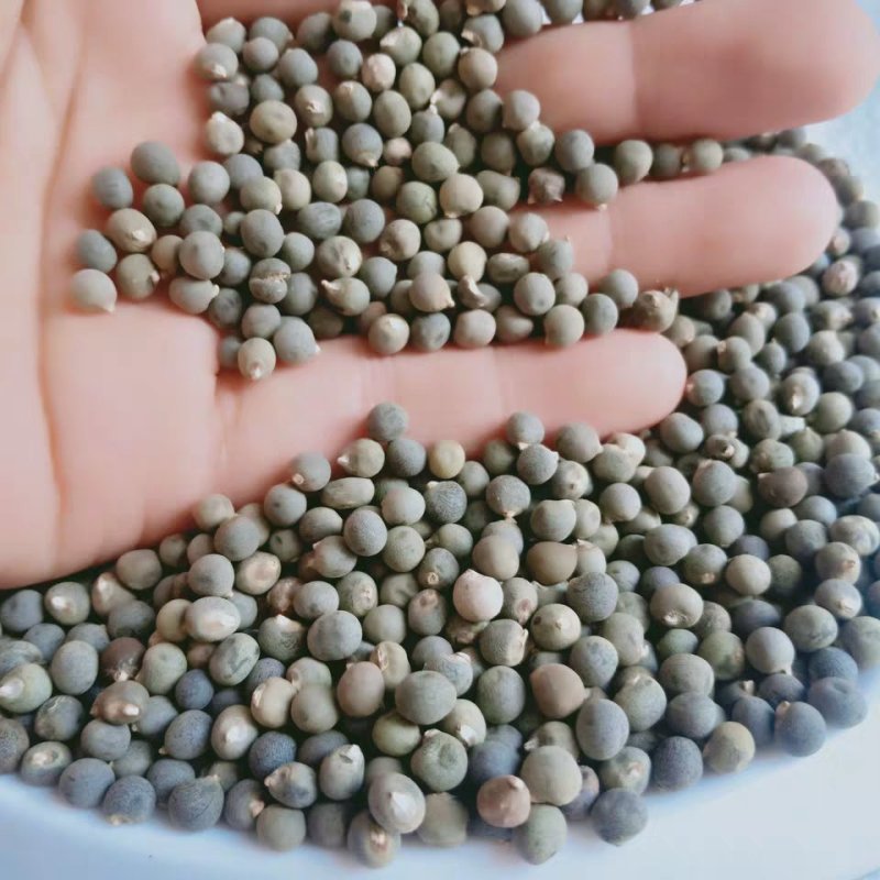 黄蜀葵子,道地药材，质优价实，品质保证，药典标准一公斤起