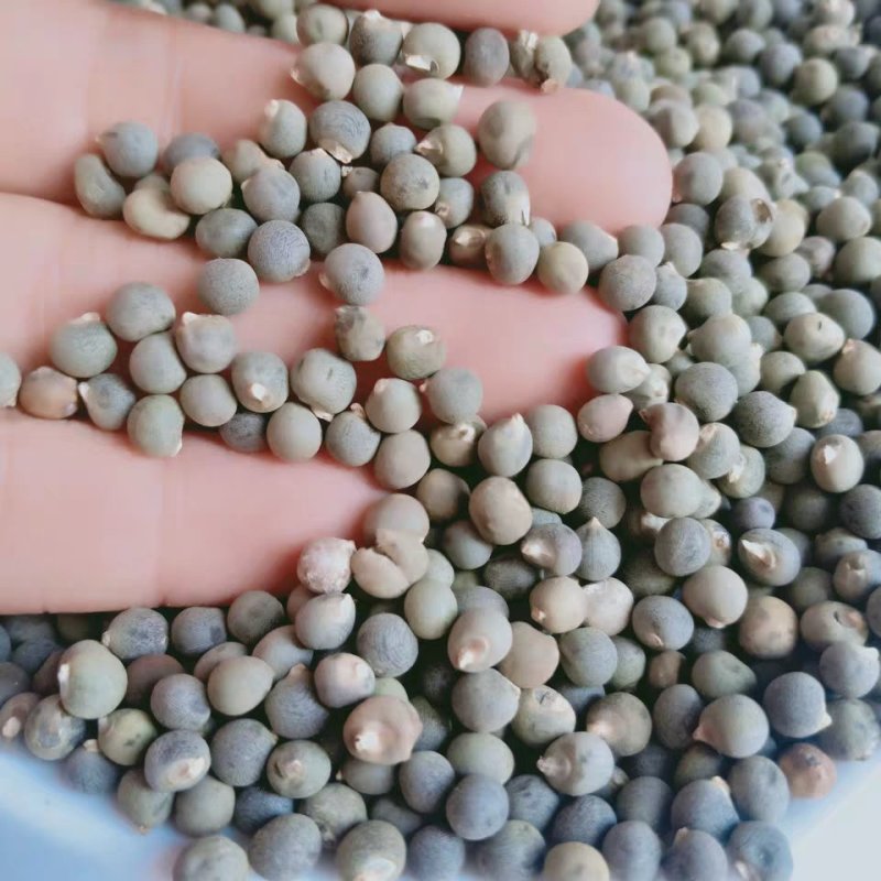 黄蜀葵子,道地药材，质优价实，品质保证，药典标准一公斤起