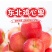 鸡心果林区的特产一件代发