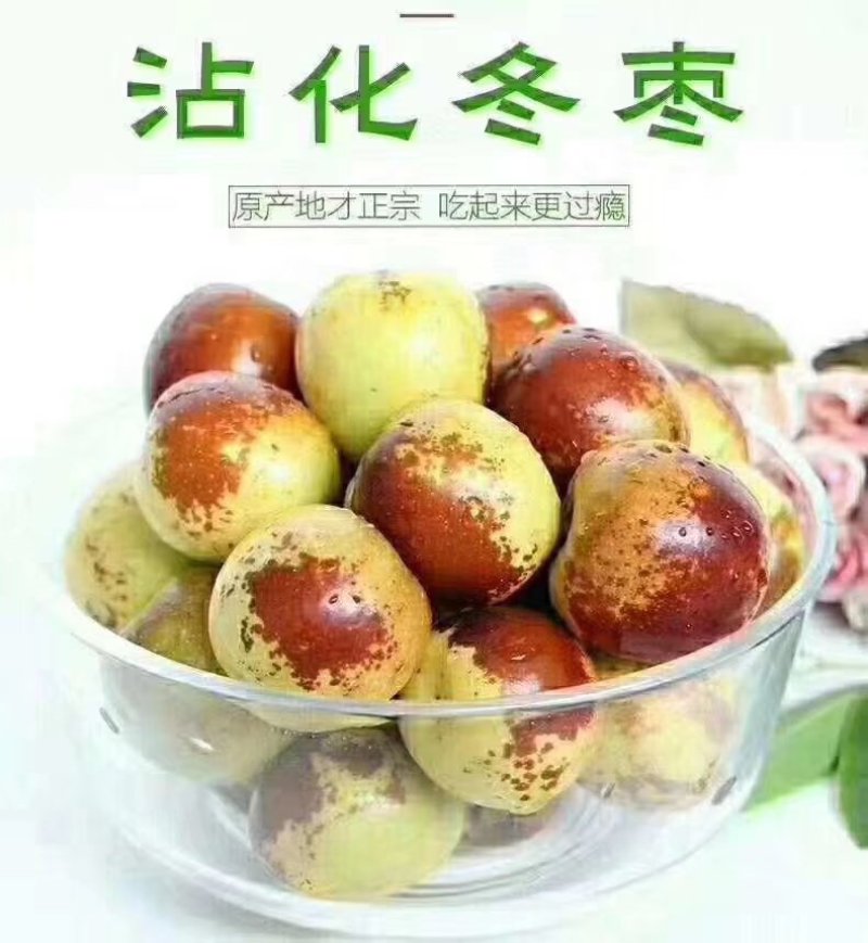 现货冬枣新鲜沾化枣子水果孕妇应季脆甜大枣子青红枣鲜枣5斤