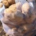 土豆🥔