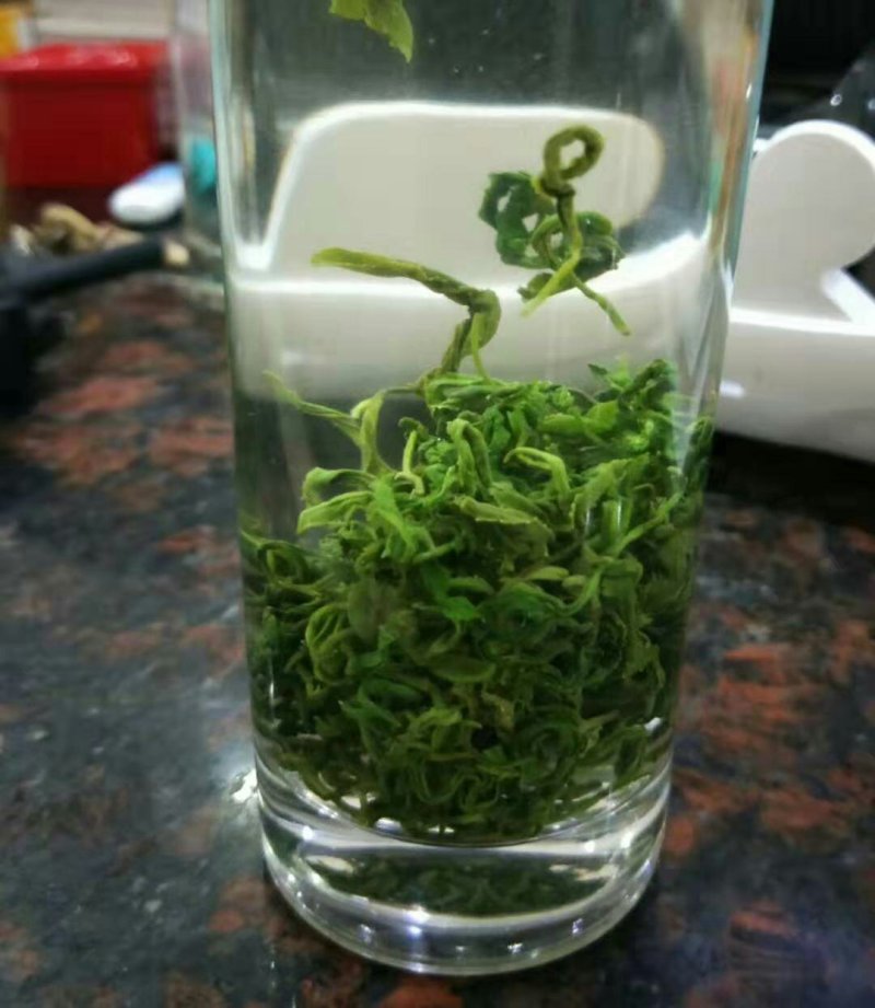 高山云雾茶红茶绿茶