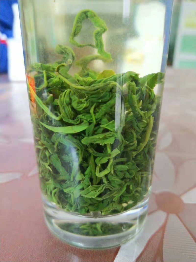 高山云雾茶红茶绿茶
