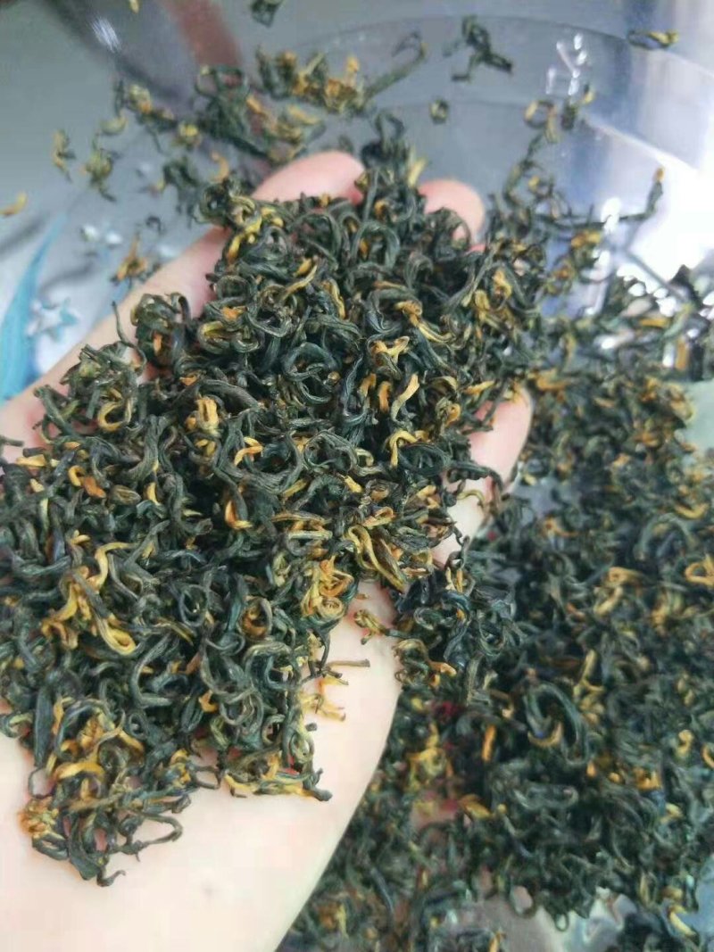 高山云雾茶红茶绿茶