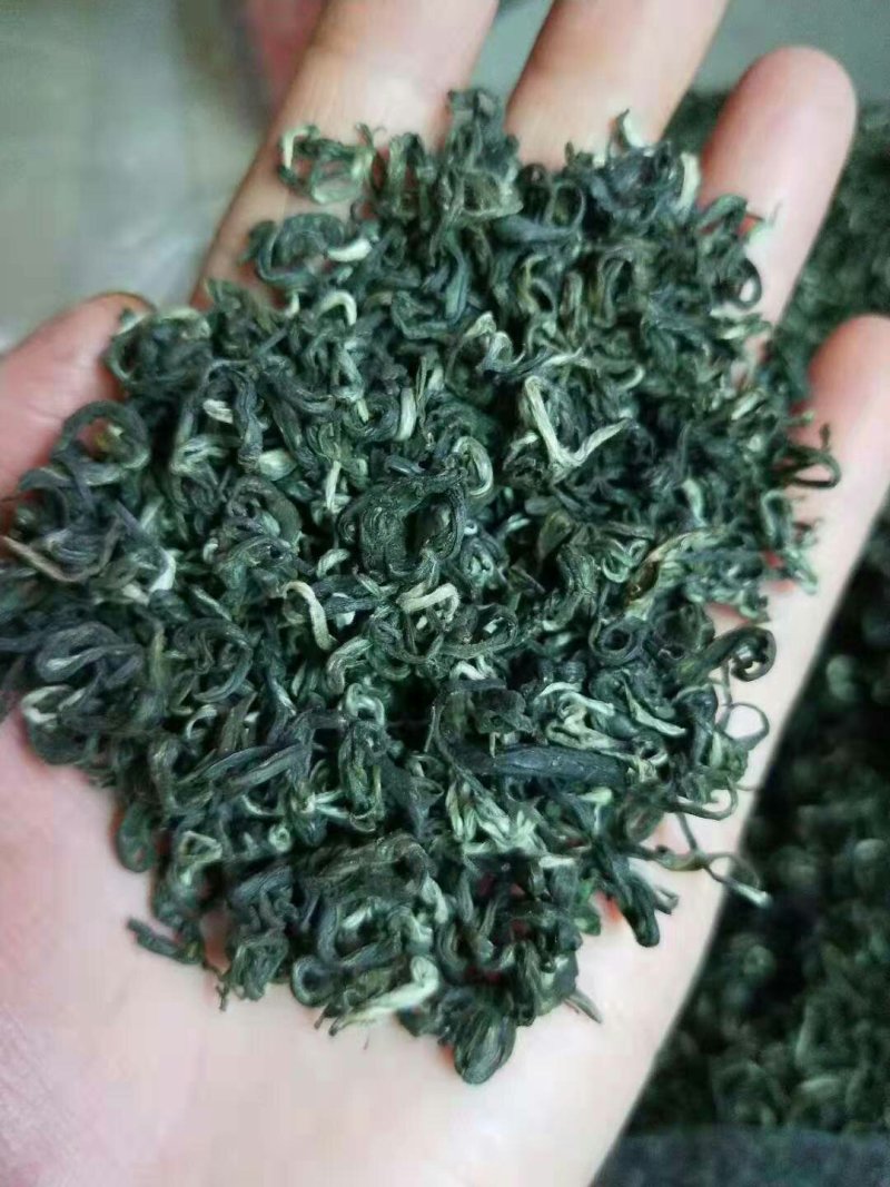 高山云雾茶红茶绿茶