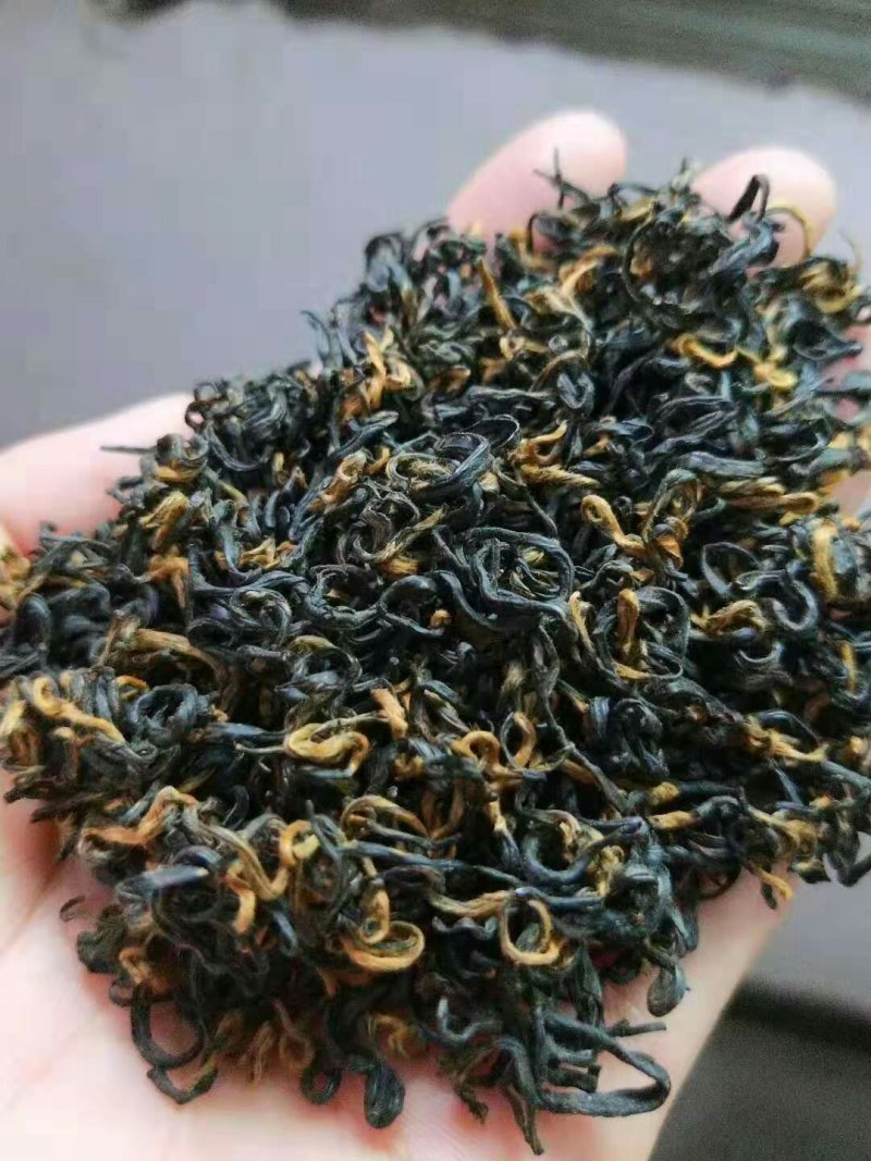 高山云雾茶红茶绿茶