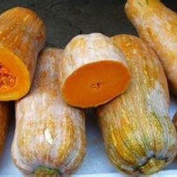 天然农物