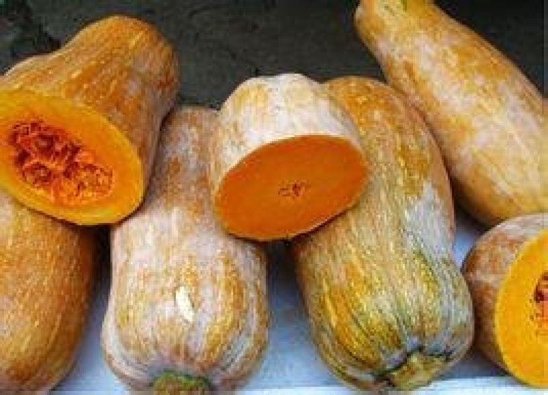 天然农物
