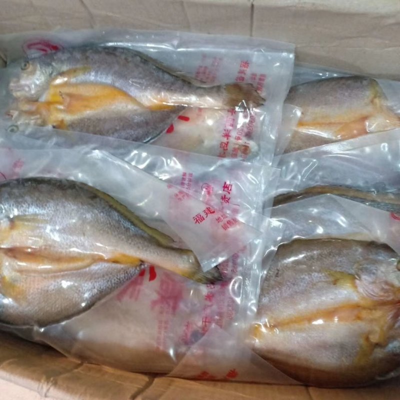 东海福建霞浦渔家自晒黄花鱼干