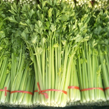 西芹，毛芹