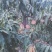 中秋小蜜桃