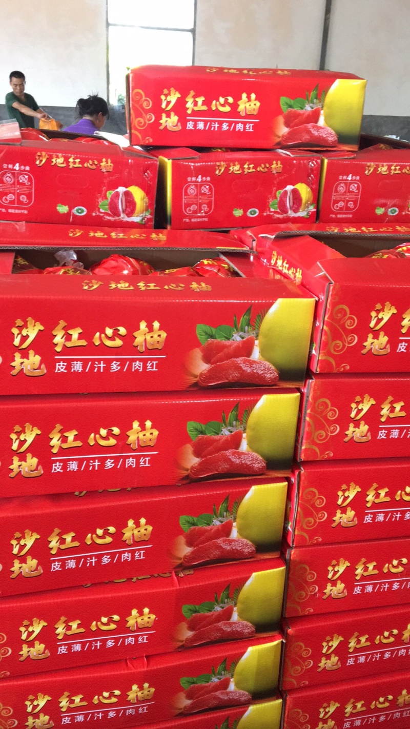 正宗琯溪蜜柚